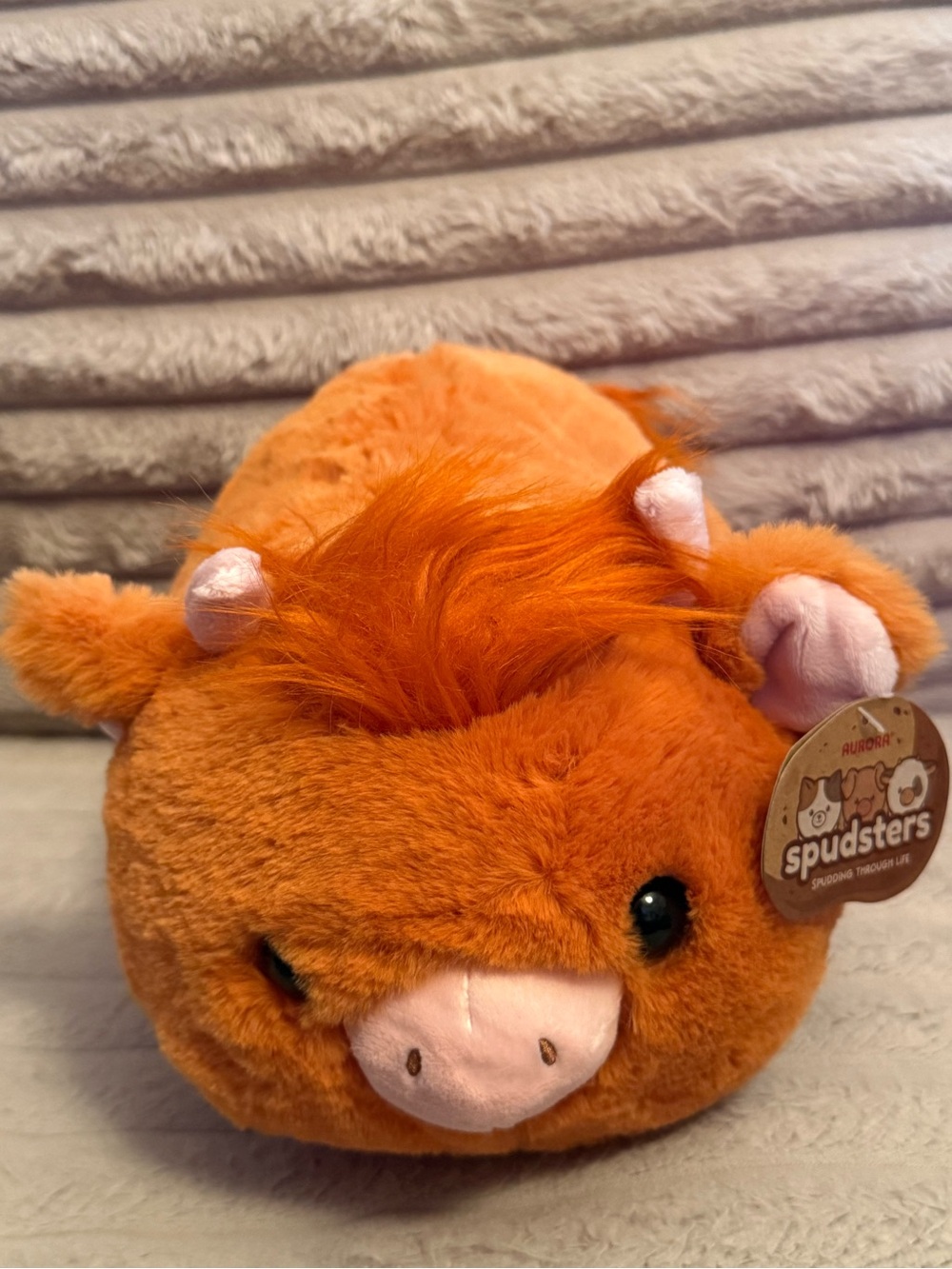 Aurora Spudsters Highland Cow Plush Orange Pico Rivera Stuffed Animal 2024